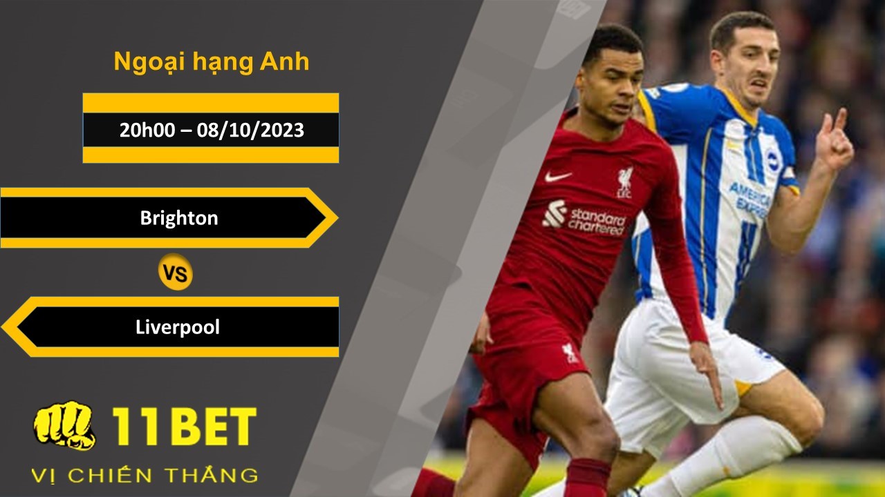 11BET Soi kèo  Brighton vs Liverpool, 20h00, 08/10/2023
